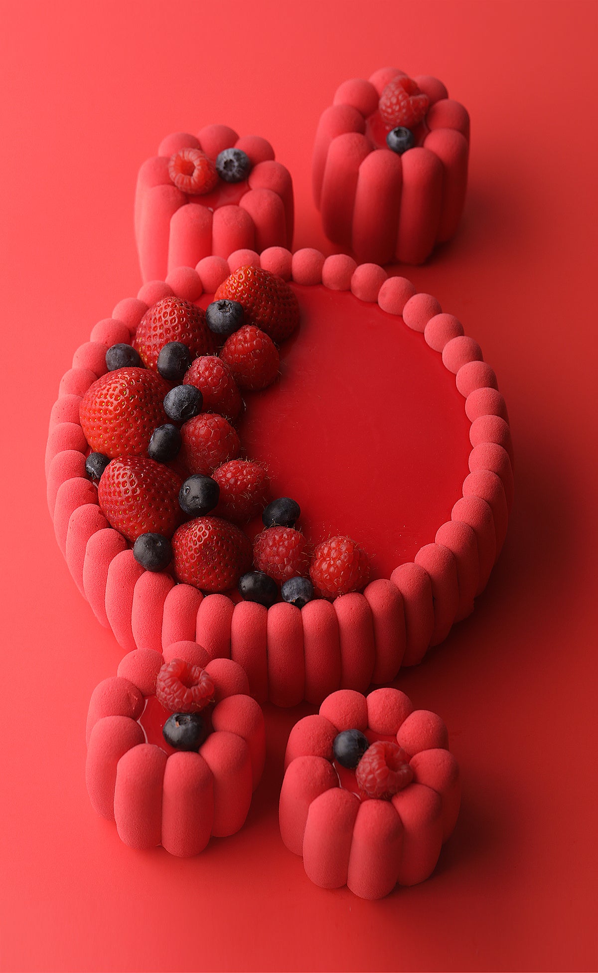 SAVOIARDI cake Silicone Mould, HM078