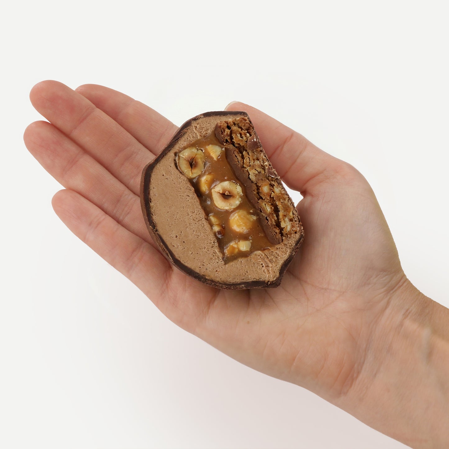 Realistic Hazelnut Classic Silicone mould, HM319