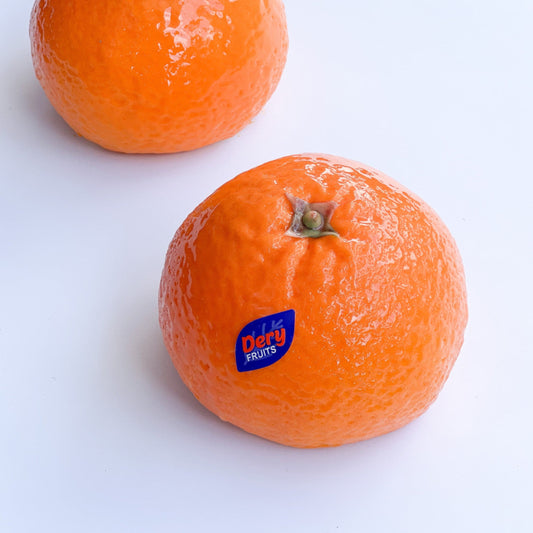 ORANGE BENTO Silicone Mould, HM057