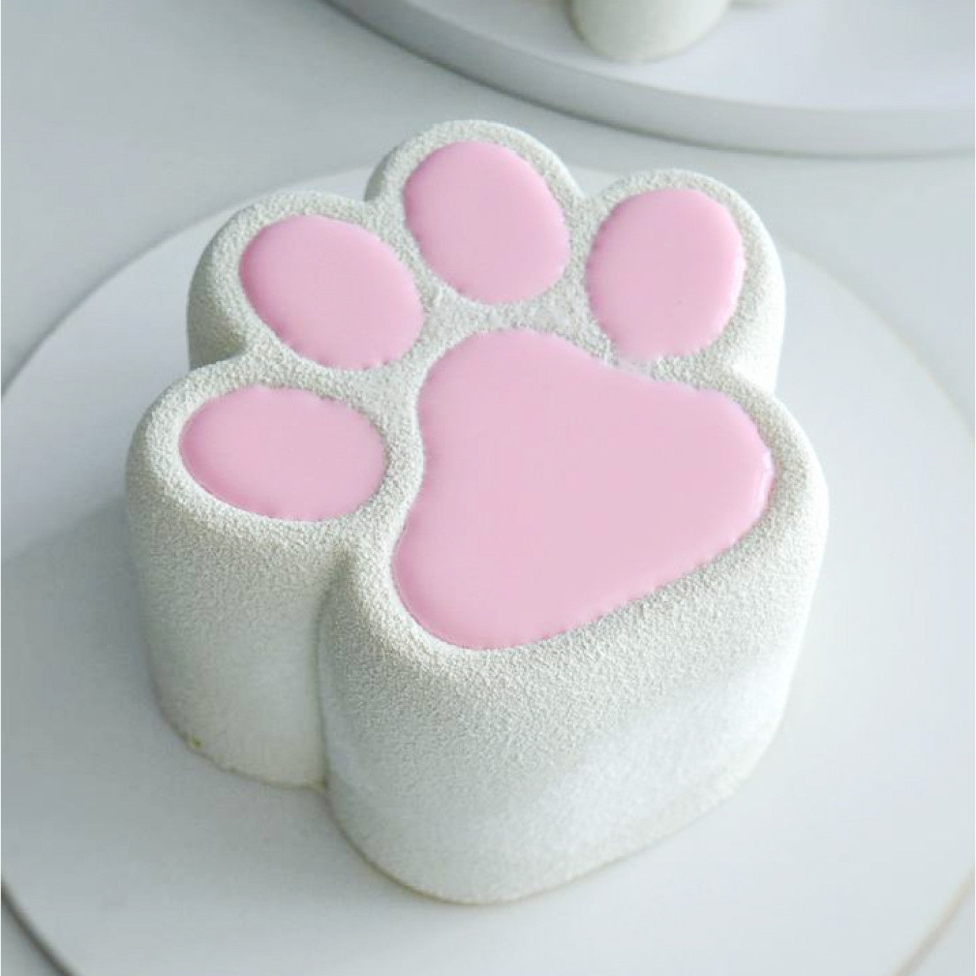 GLOSSY PAWS BENTO Silicone Mould, HM149