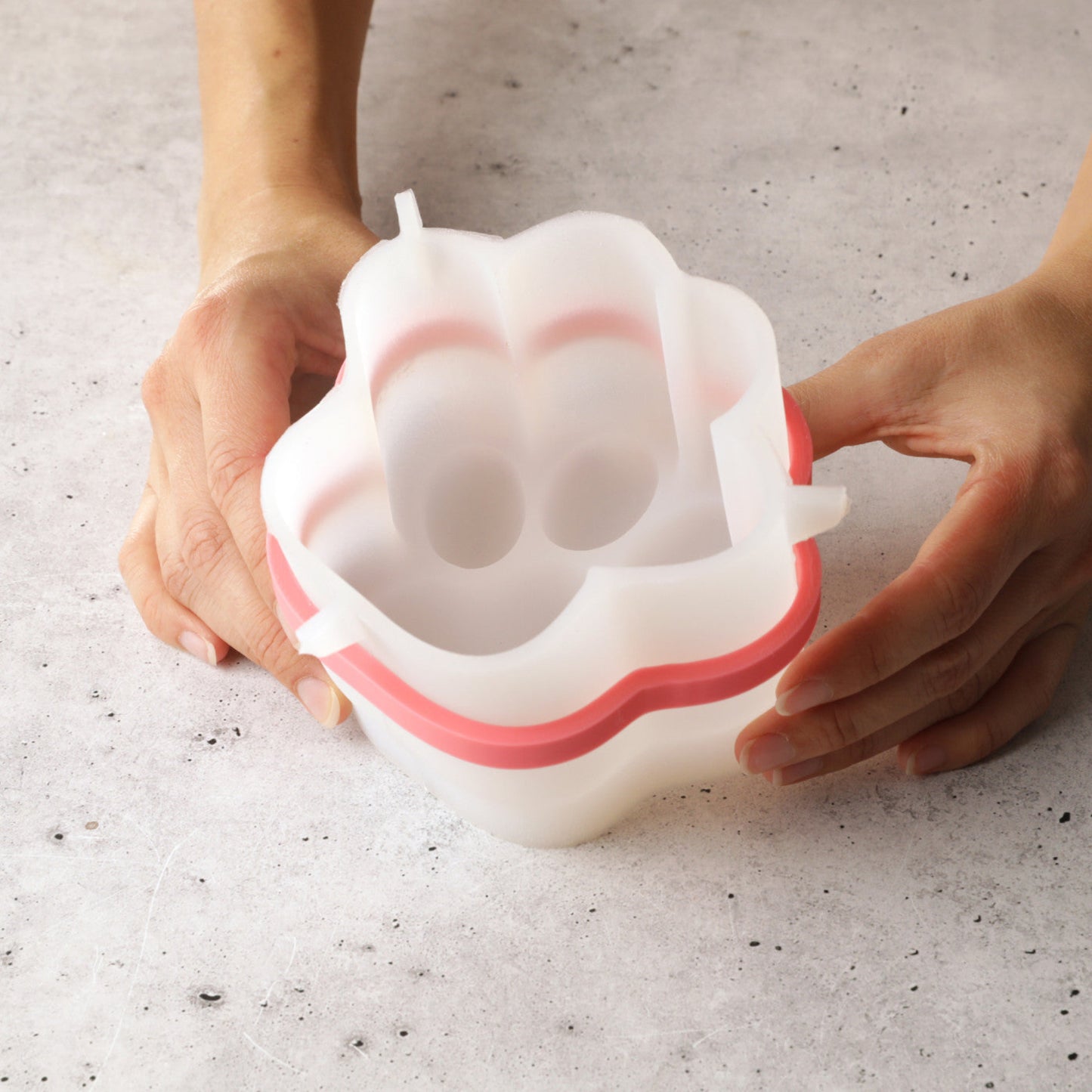 PUFFY PAWS Bento Silicone Mould, HM146