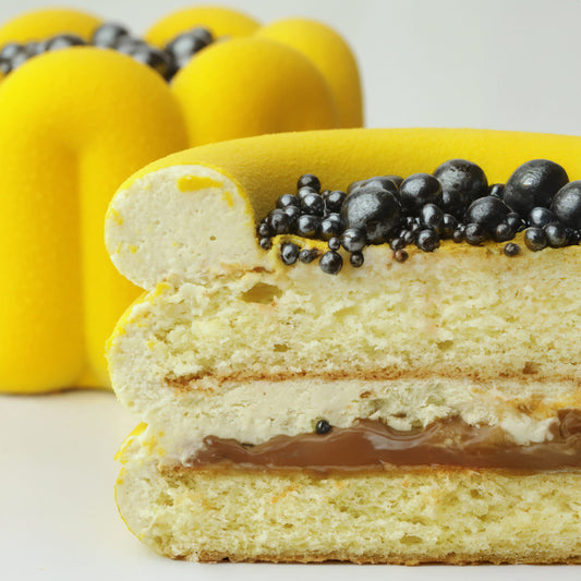 Symmetry Bento Silicone Mould, HM173