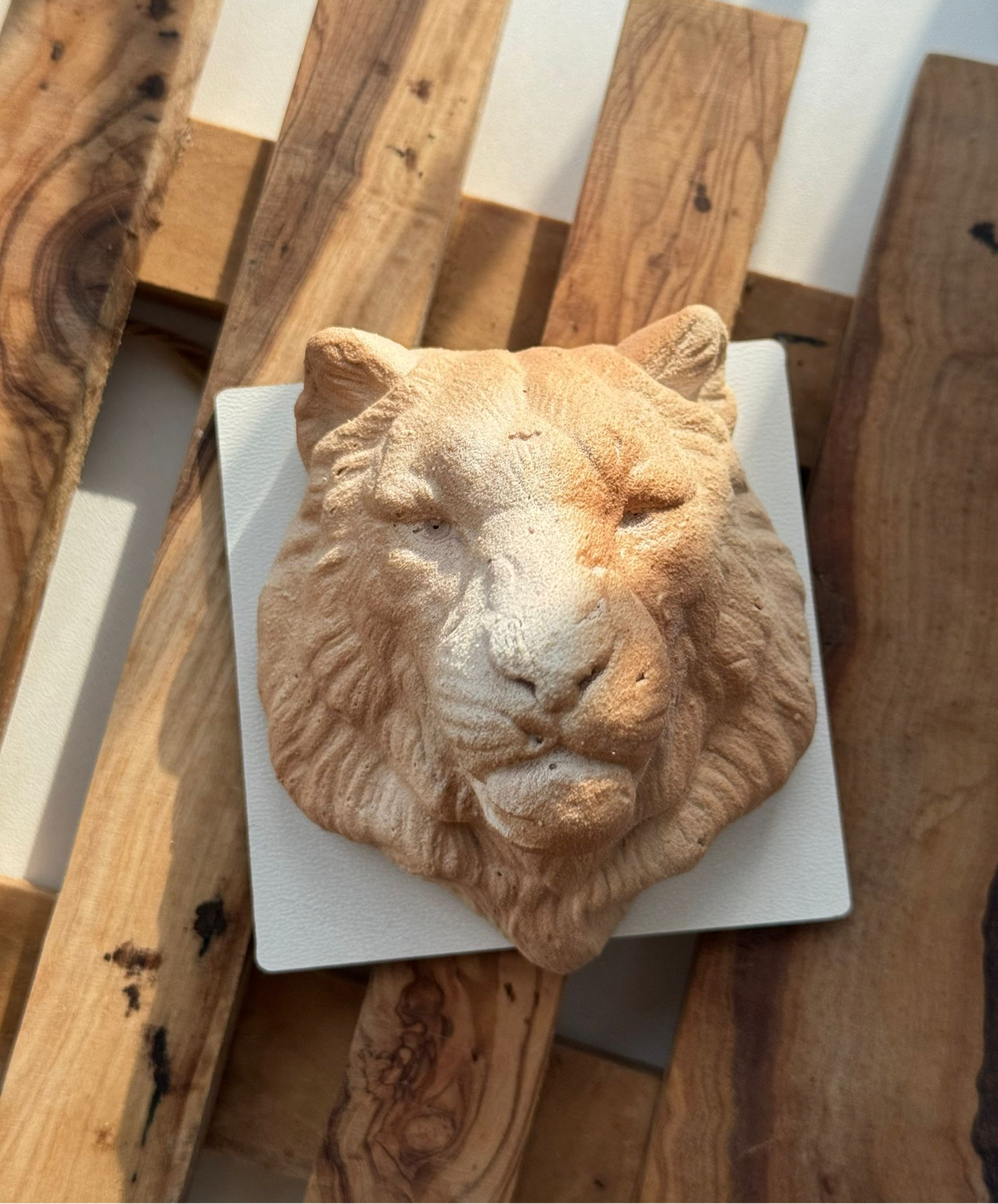 Hand Made Dinara Kasko Mini Lion, HM031 Silicone Mould