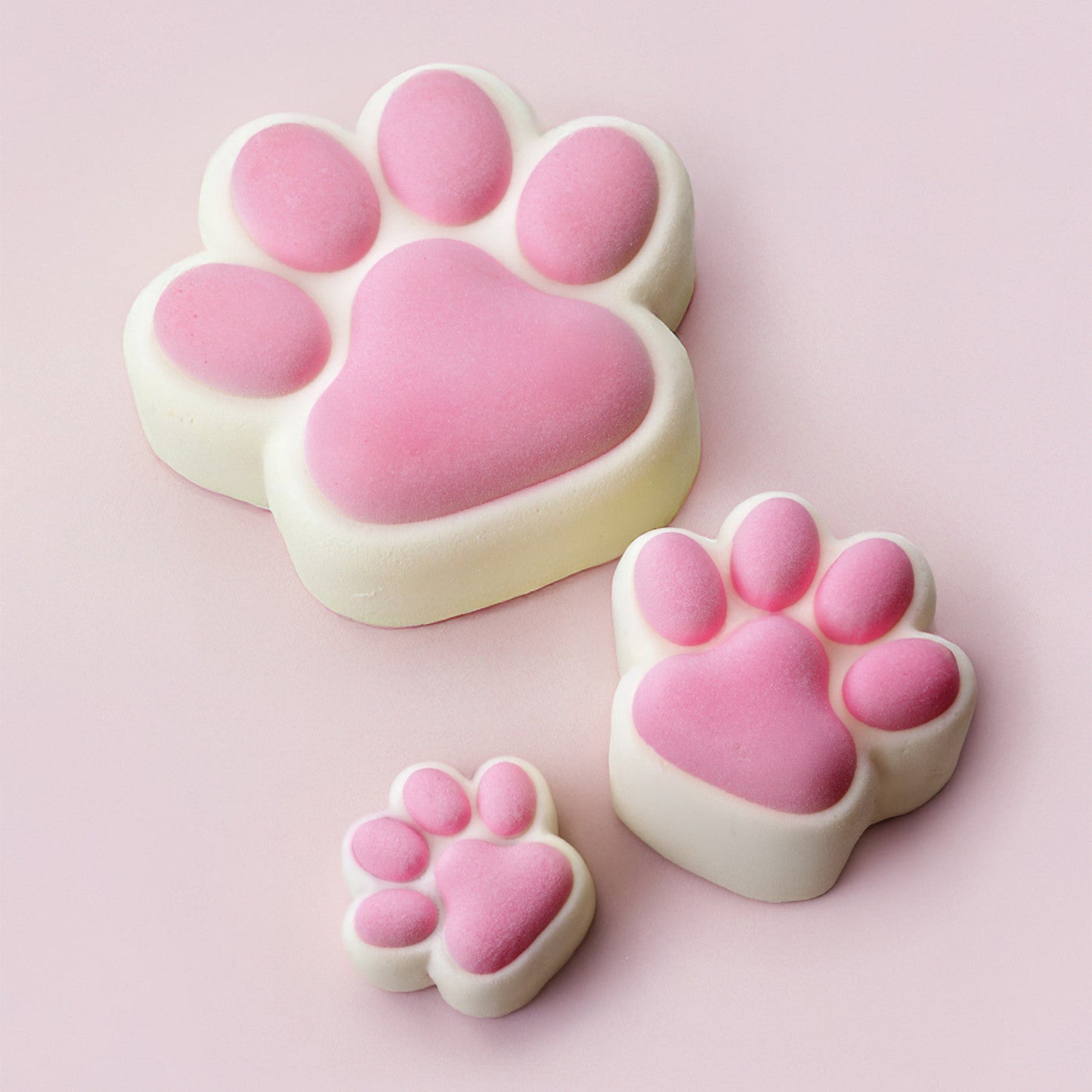 GLOSSY PAWS MINI Silicone Mould, HM150