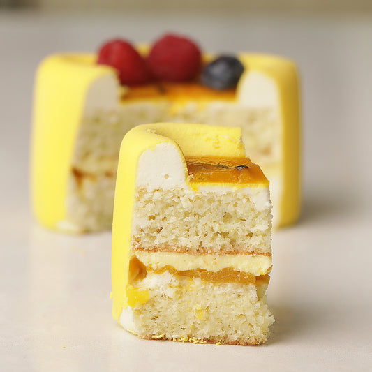 CIRСLE BENTO CAKE Silicone Mould, HM070