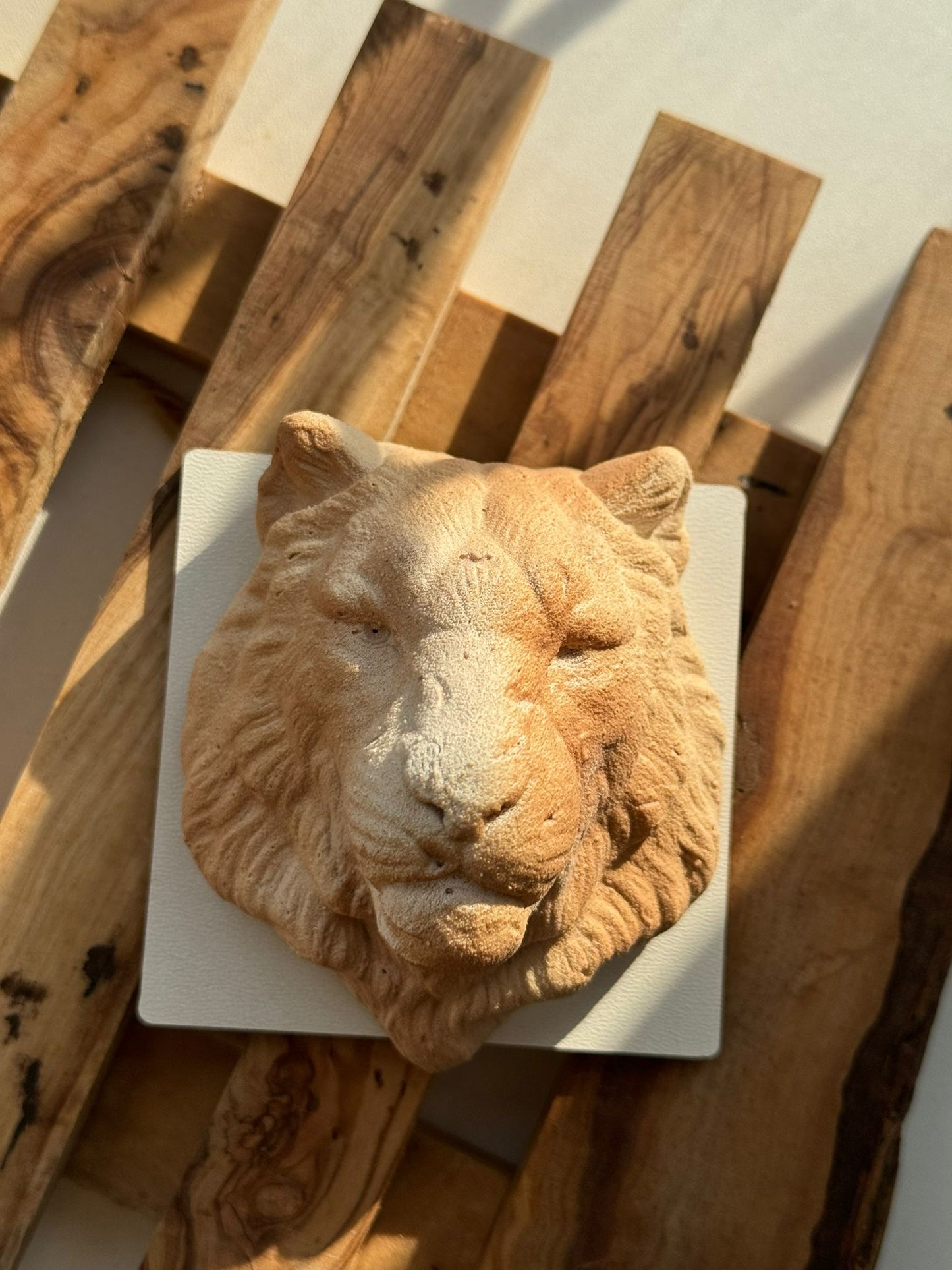 Hand Made Dinara Kasko Mini Lion, HM031 Silicone Mould