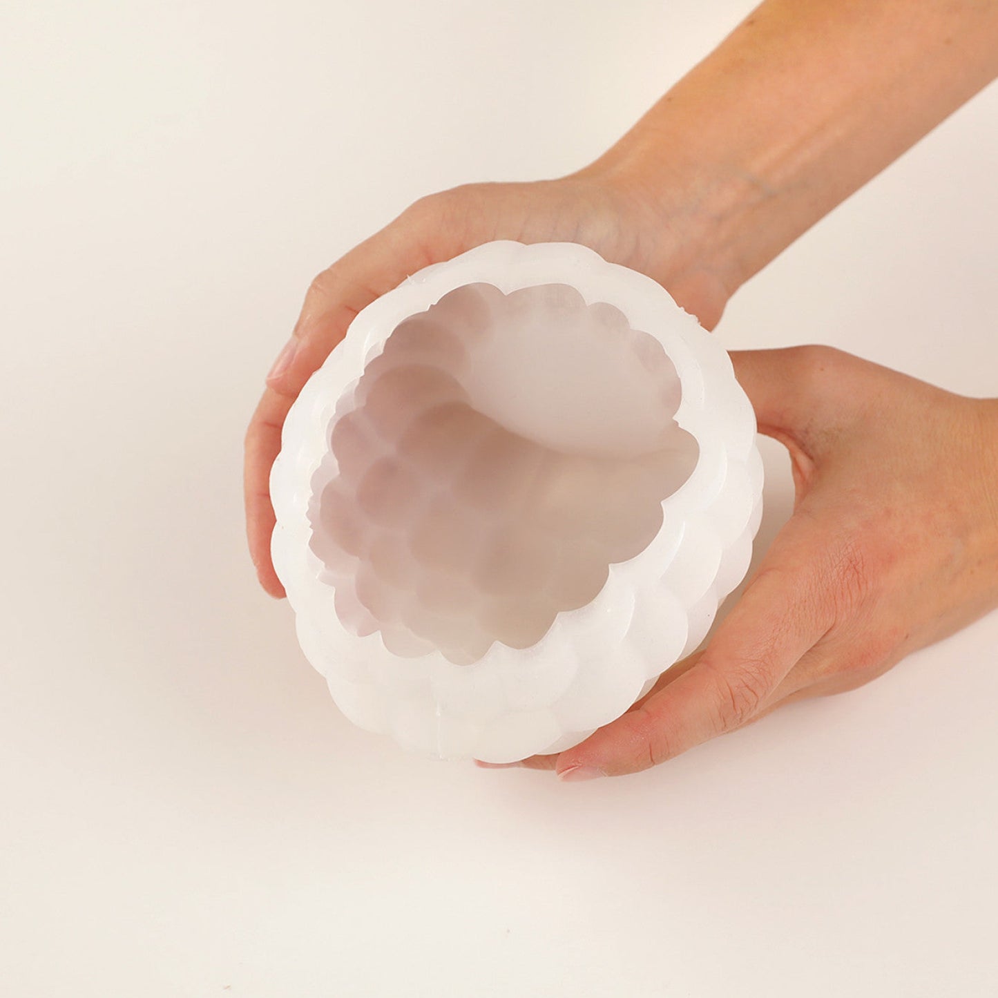 RASPBERRY BENTO Silicone Mould, HM056