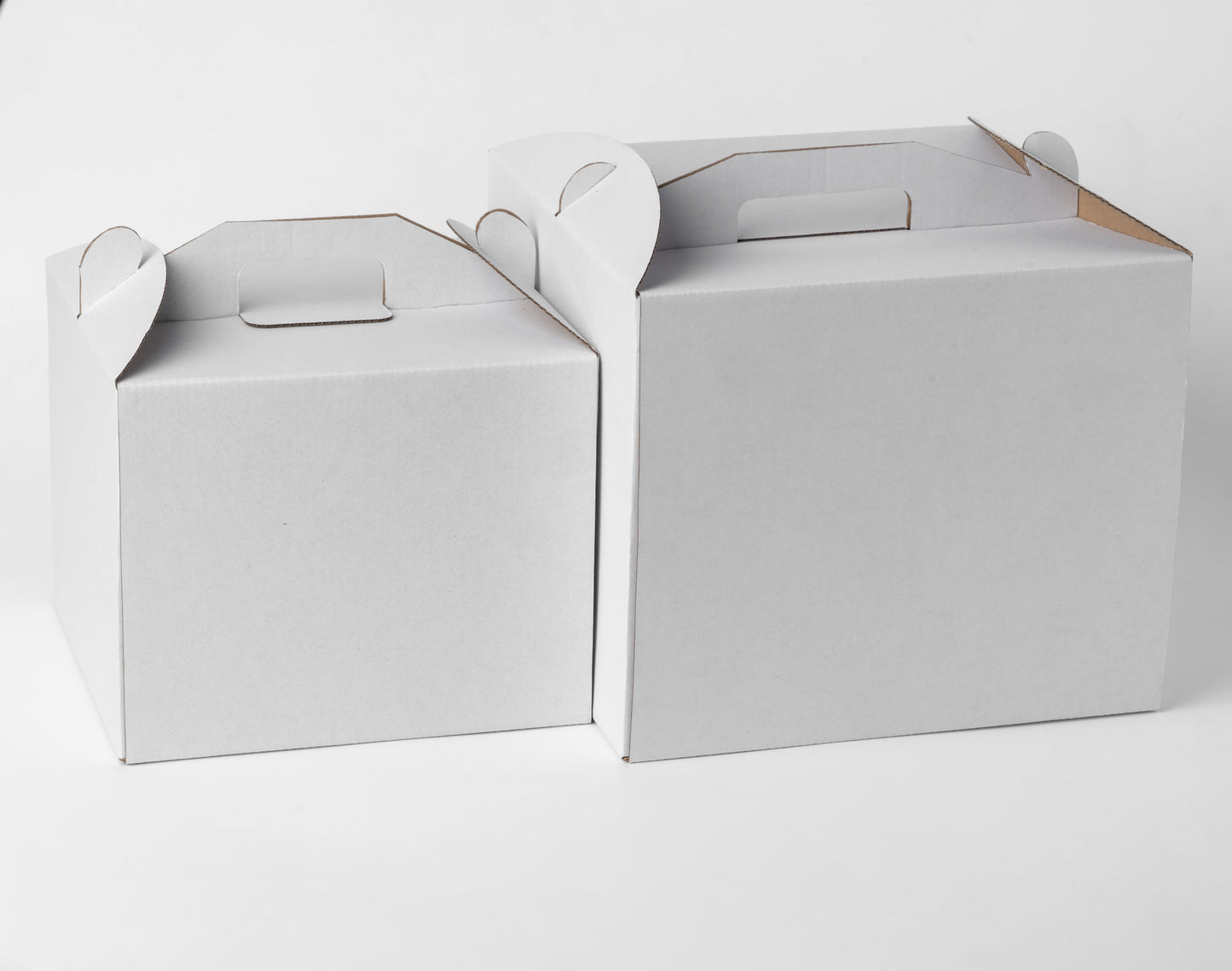 Strong Cake Box with Handle, 25 cm and 30 cm