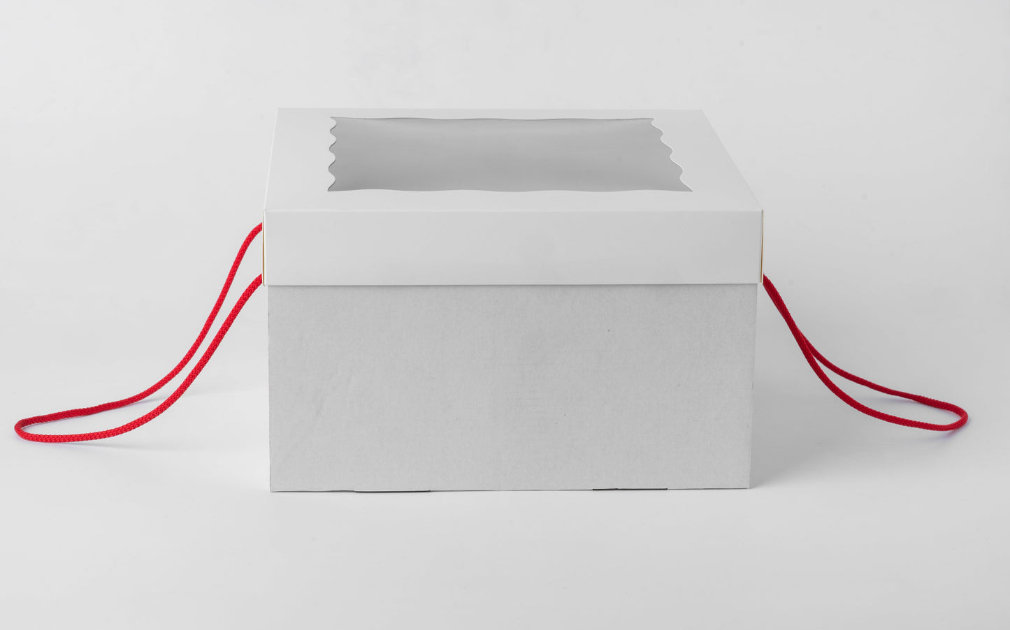 Strong Cake Box, SET of 5, 25 cm x 25 cm x 15 cm, SC252515W10