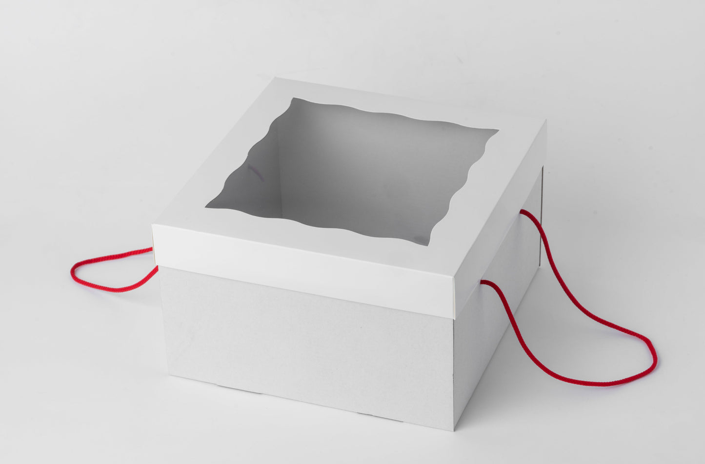 Strong Cake Box, SET of 5, 25 cm x 25 cm x 15 cm, SC252515W10