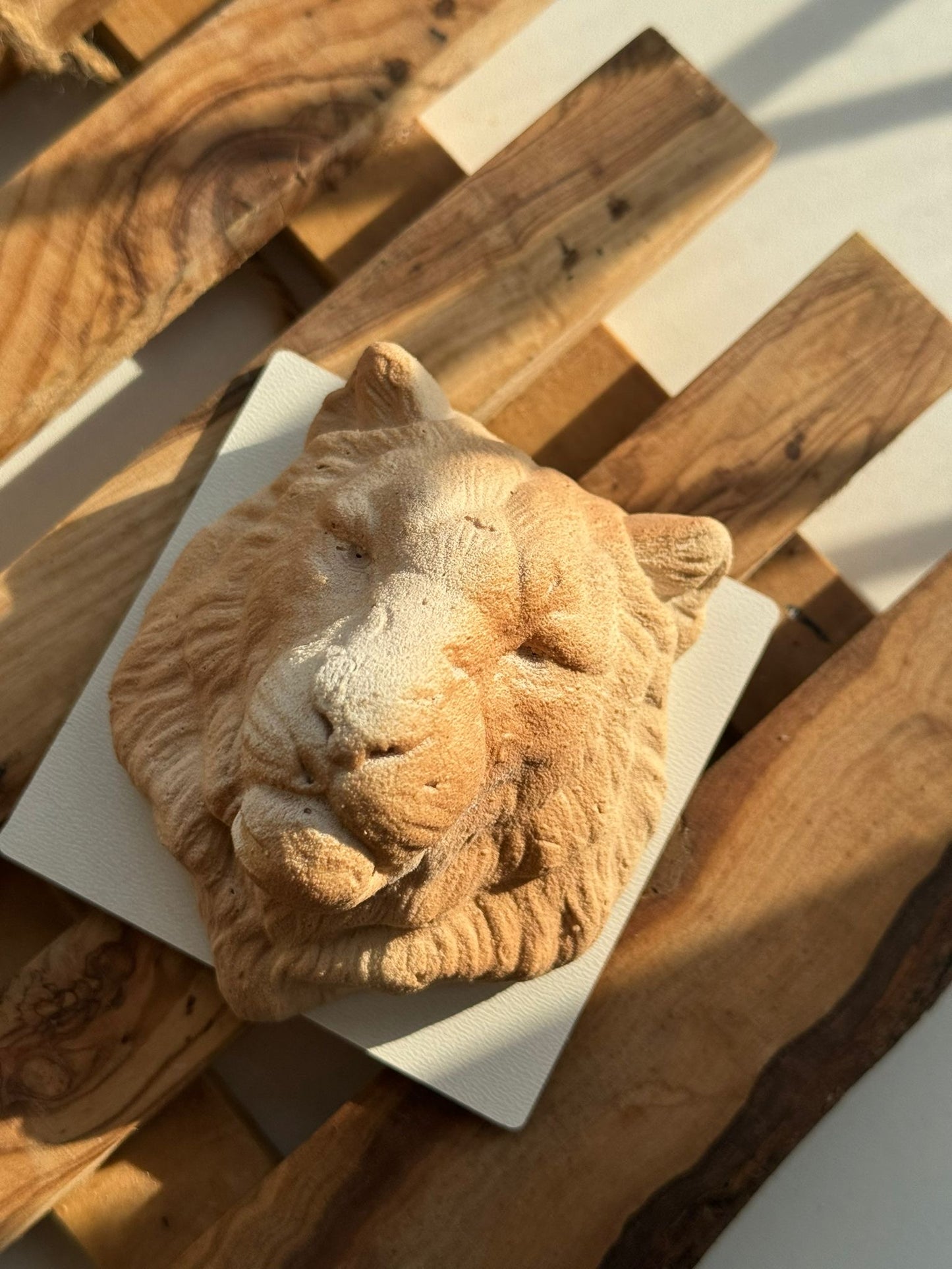 Hand Made Dinara Kasko Mini Lion, HM031 Silicone Mould