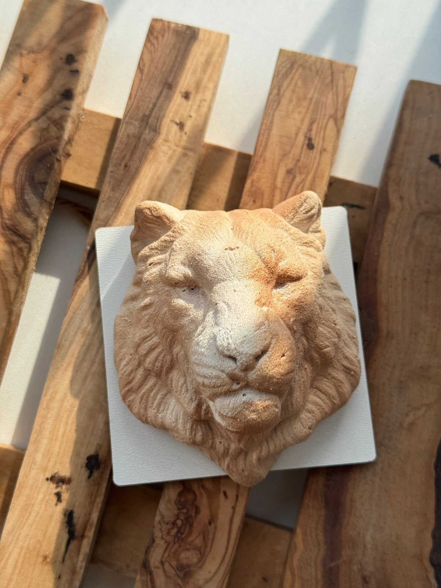 Hand Made Dinara Kasko Mini Lion, HM031 Silicone Mould