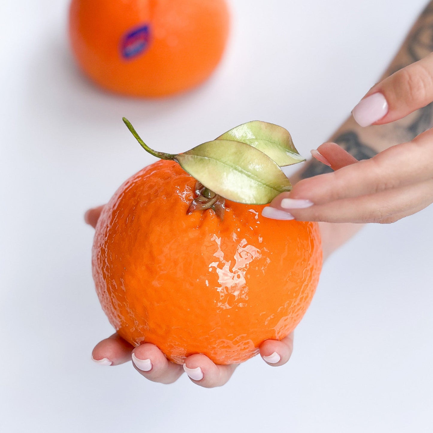 ORANGE BENTO Silicone Mould, HM057