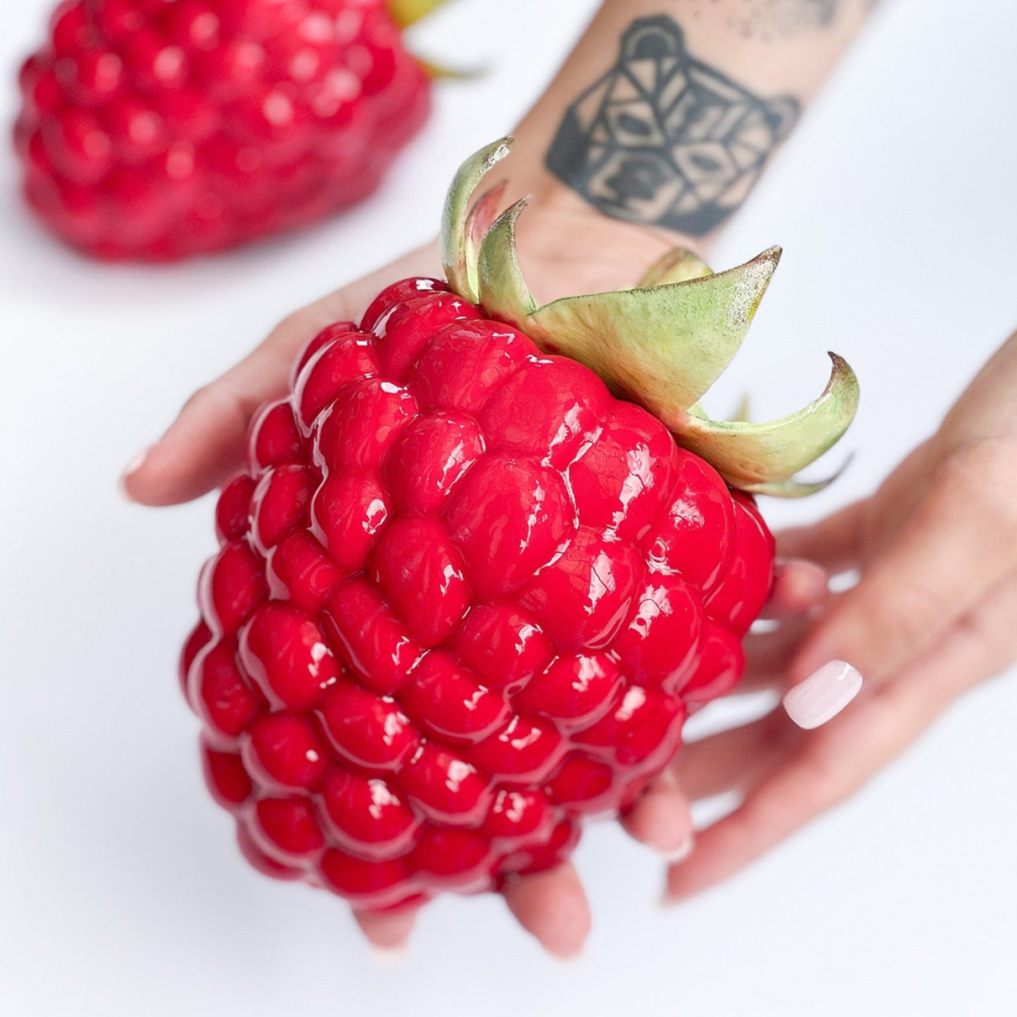 RASPBERRY BENTO Silicone Mould, HM056