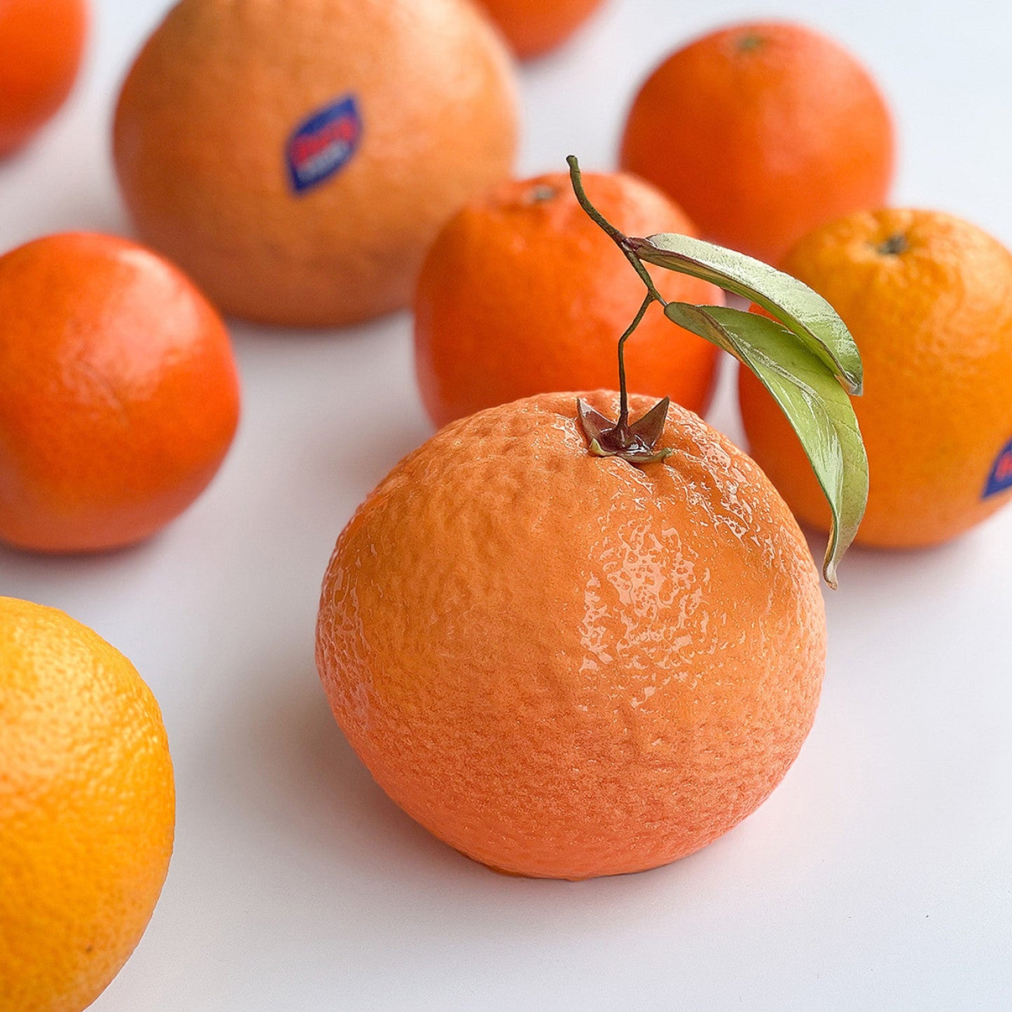 ORANGE BENTO Silicone Mould, HM057