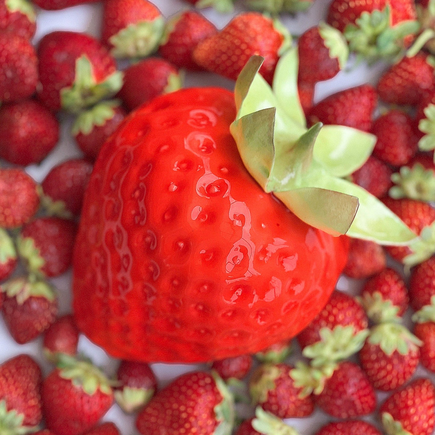 STRAWBERRY BENTO Silicone Mould, HM058