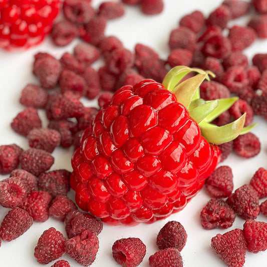 RASPBERRY BENTO Silicone Mould, HM056