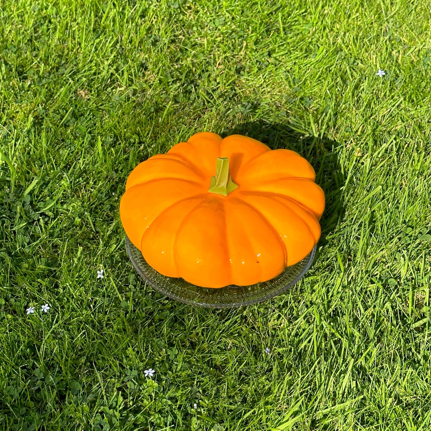 Hand Made Dinara Kasko Pumpkin Cake, HM047 Silicone Mould