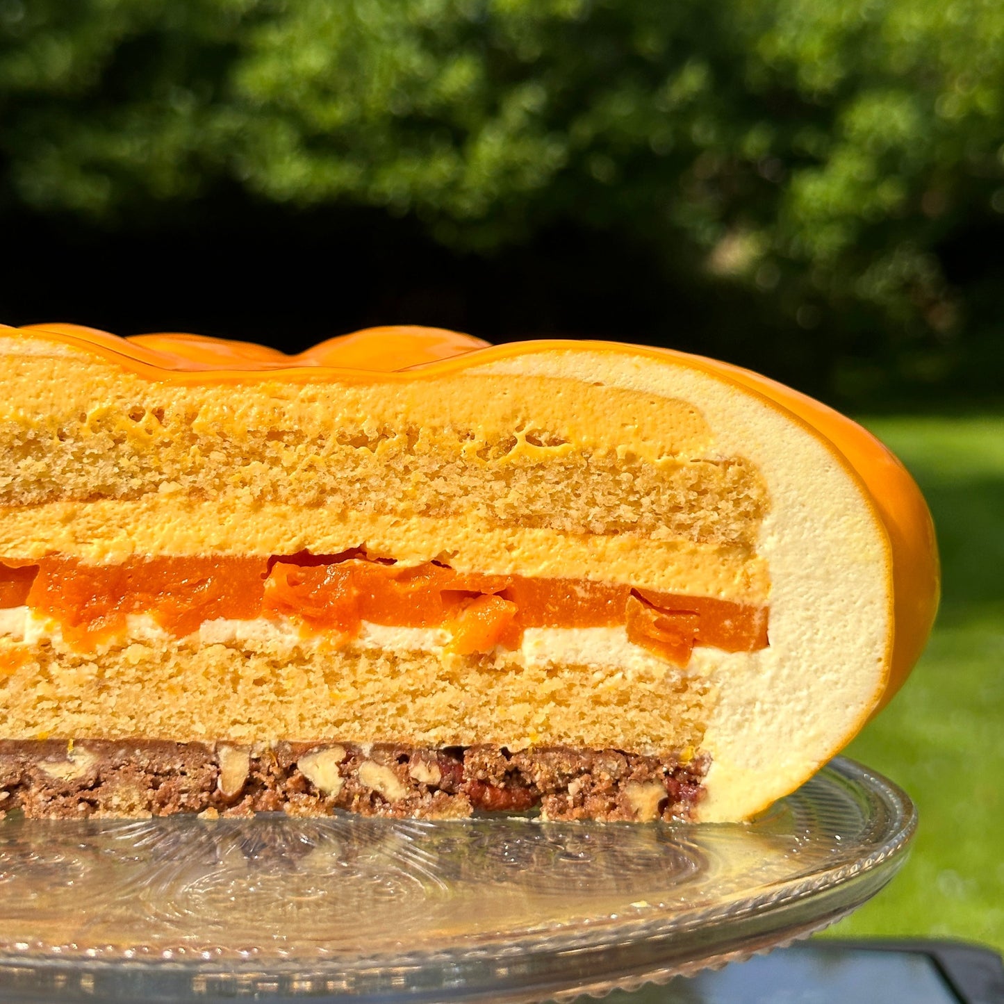 Hand Made Dinara Kasko Pumpkin Cake, HM047 Silicone Mould