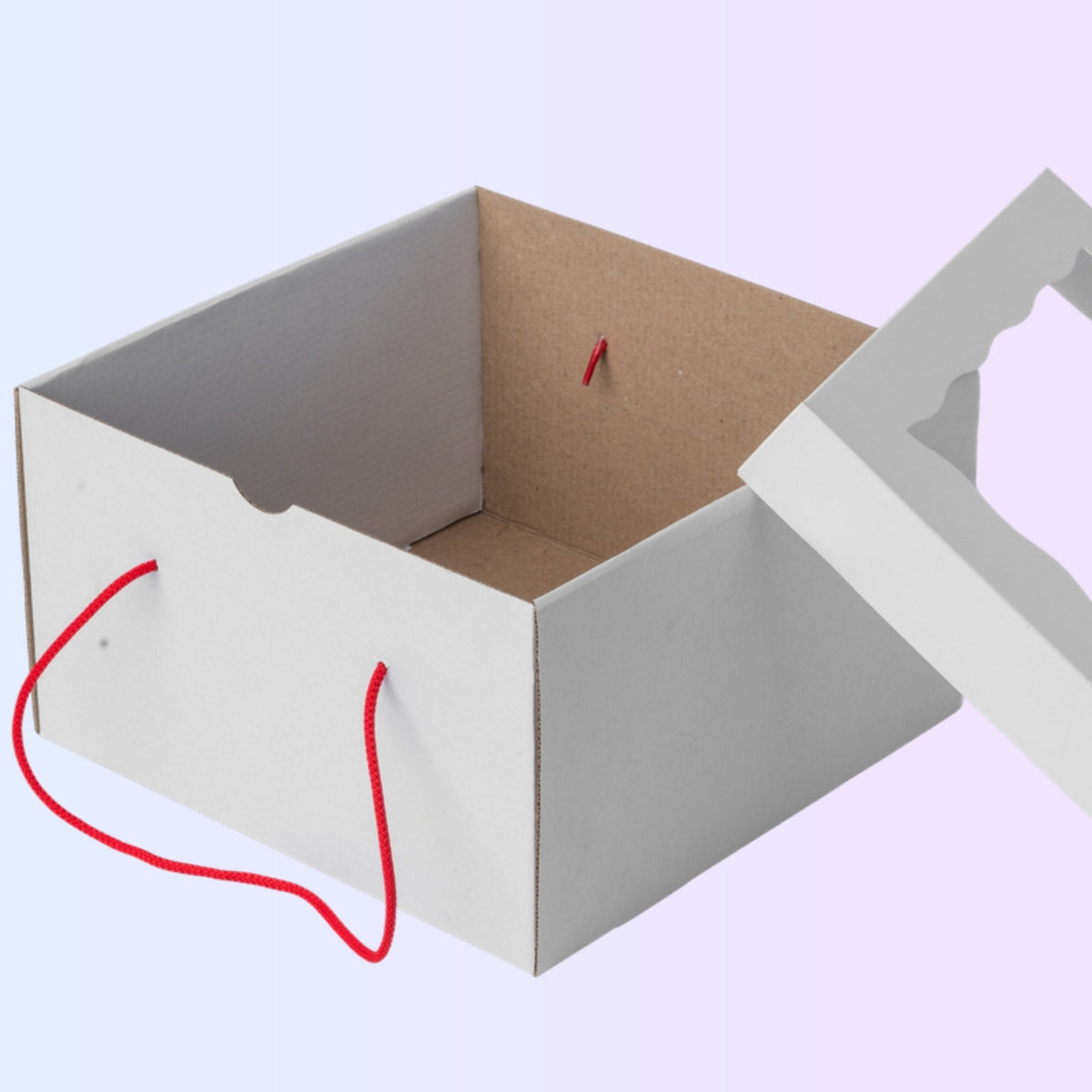 Strong cake box open with lid