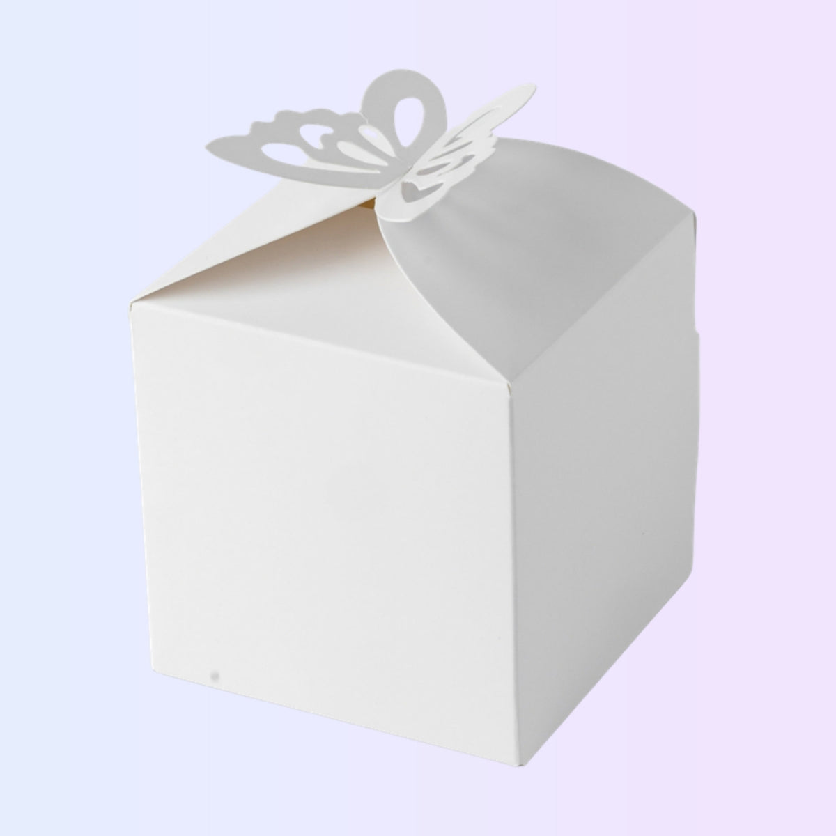 White single cake box with butterfly closure