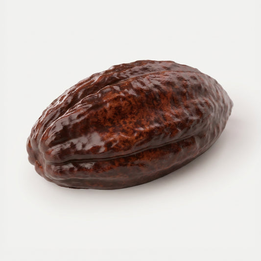 Realistic Cacao Bean Silicone mould, HM304
