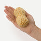 Realistic Peanut Silicone mould, HM307
