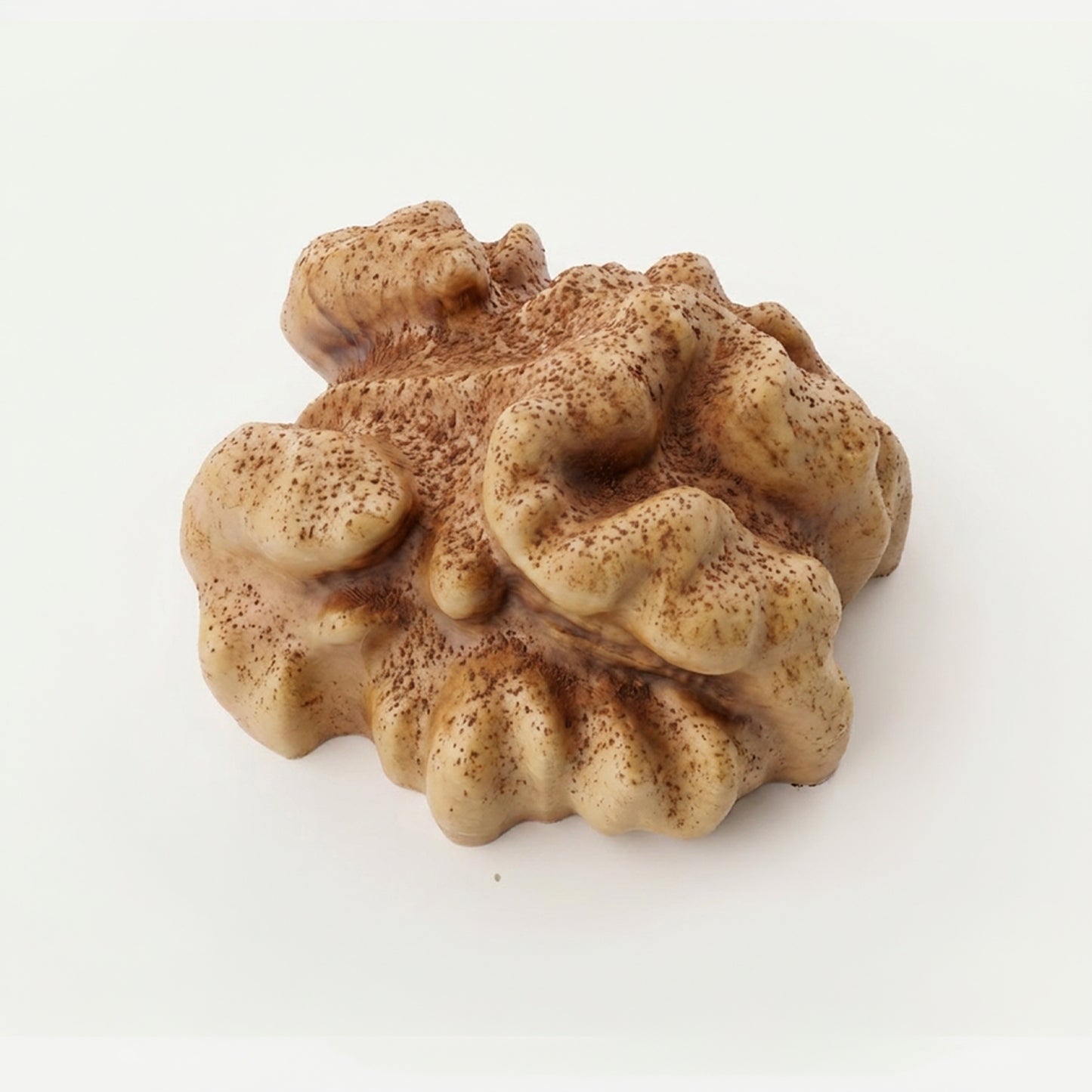 Realistic Walnut Silicone mould, HM293