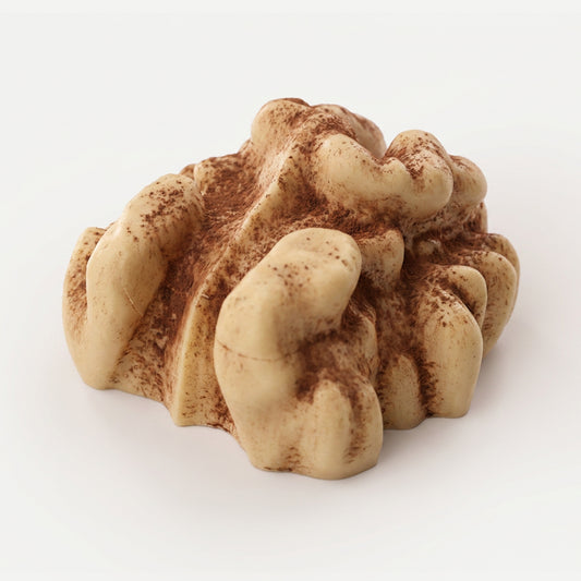 Realistic Walnut Silicone mould, HM293