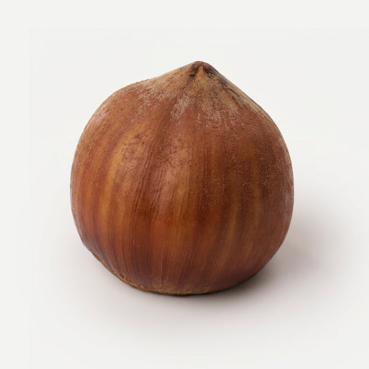 Realistic Hazelnut Silicone mould, HM309