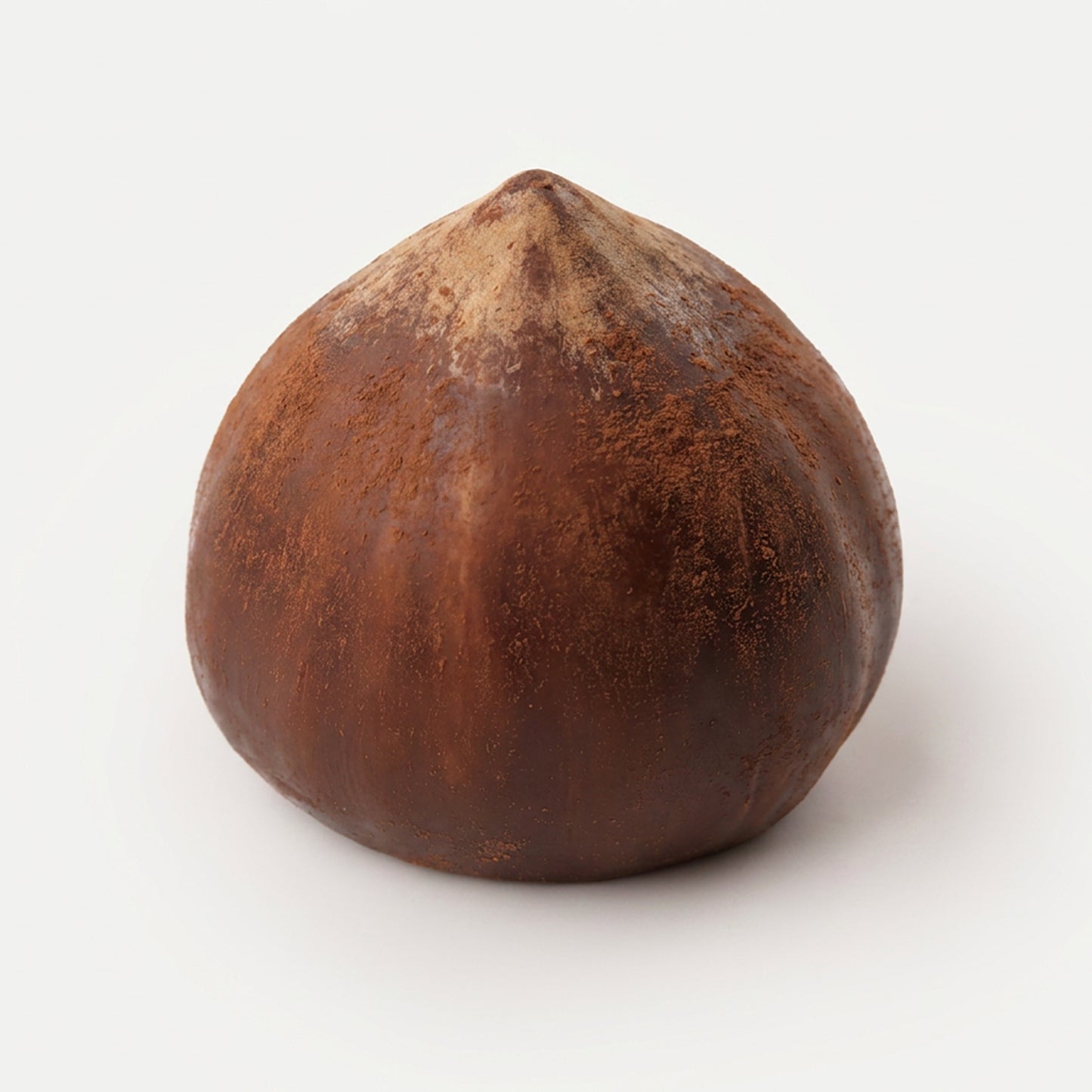 Realistic Hazelnut Silicone mould, HM309