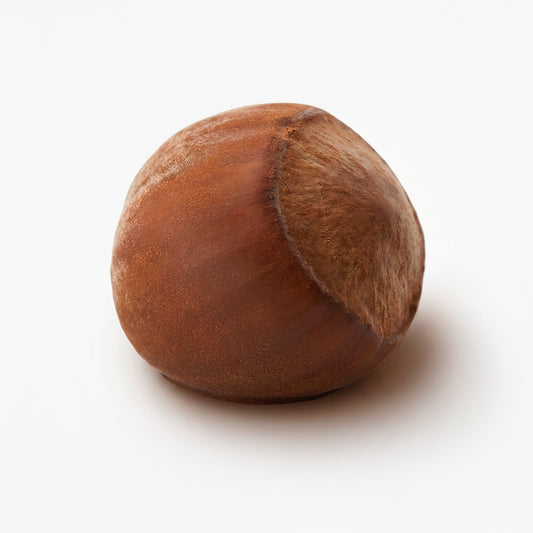 Realistic Hazelnut Classic Silicone mould, HM319