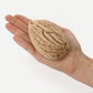 Realistic Almond Silicone mould, HM296