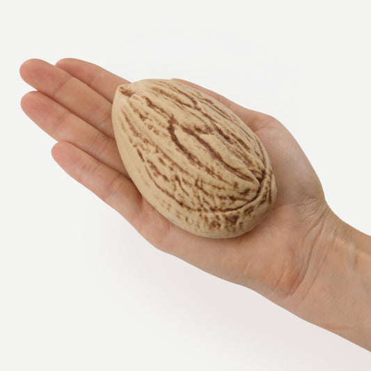 Realistic Almond Silicone mould, HM296