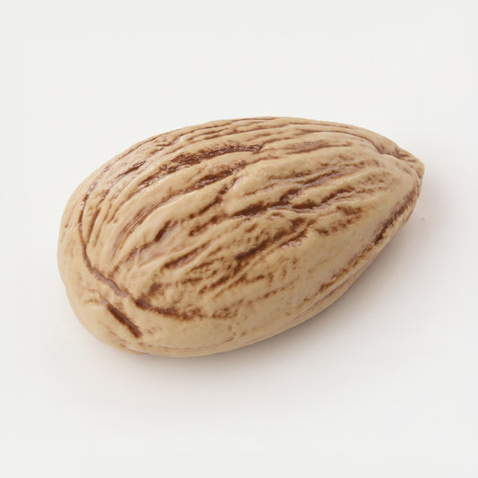 Realistic Almond Silicone mould, HM296