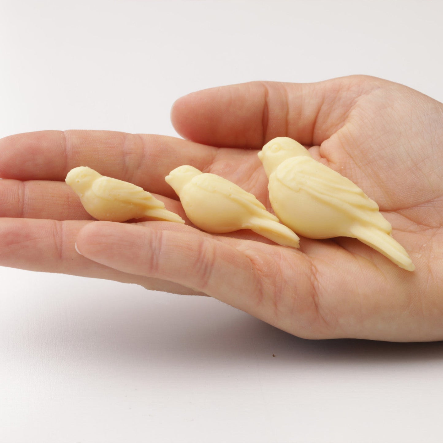 Birds decoration Silicone Moulds, HM193