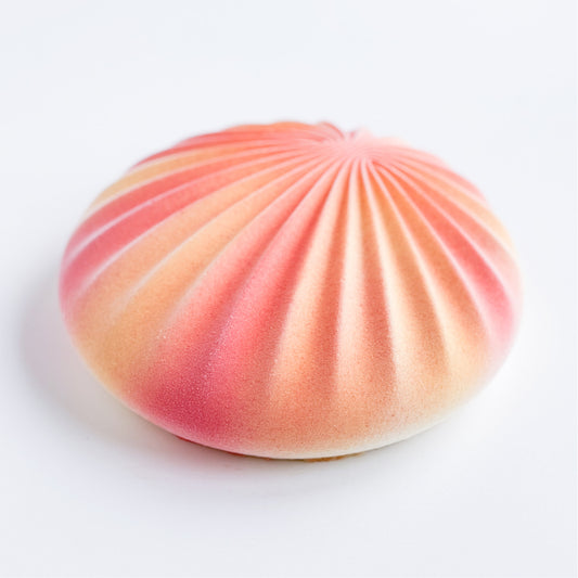SHELL CAKE Silicone Mould, HM116
