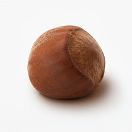 Realistic Hazelnut Classic Bento Silicone mould, HM337