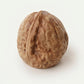 Realistic Walnut in Shell Bento Silicone mould, HM338
