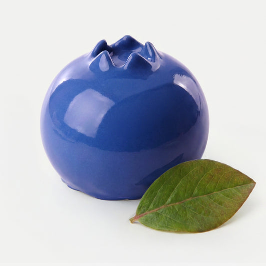 Blueberry Bento Silicone Mould, HM300