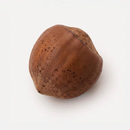 Realistic Hazelnut Classic Bento Silicone mould, HM337