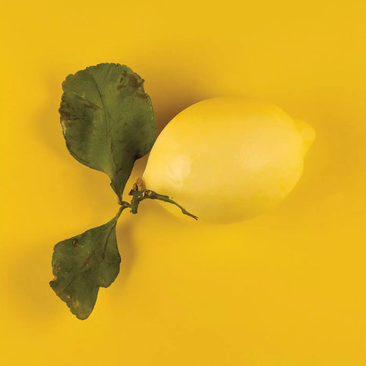 Silikomart Limone / Lemon 30 Silicone mould