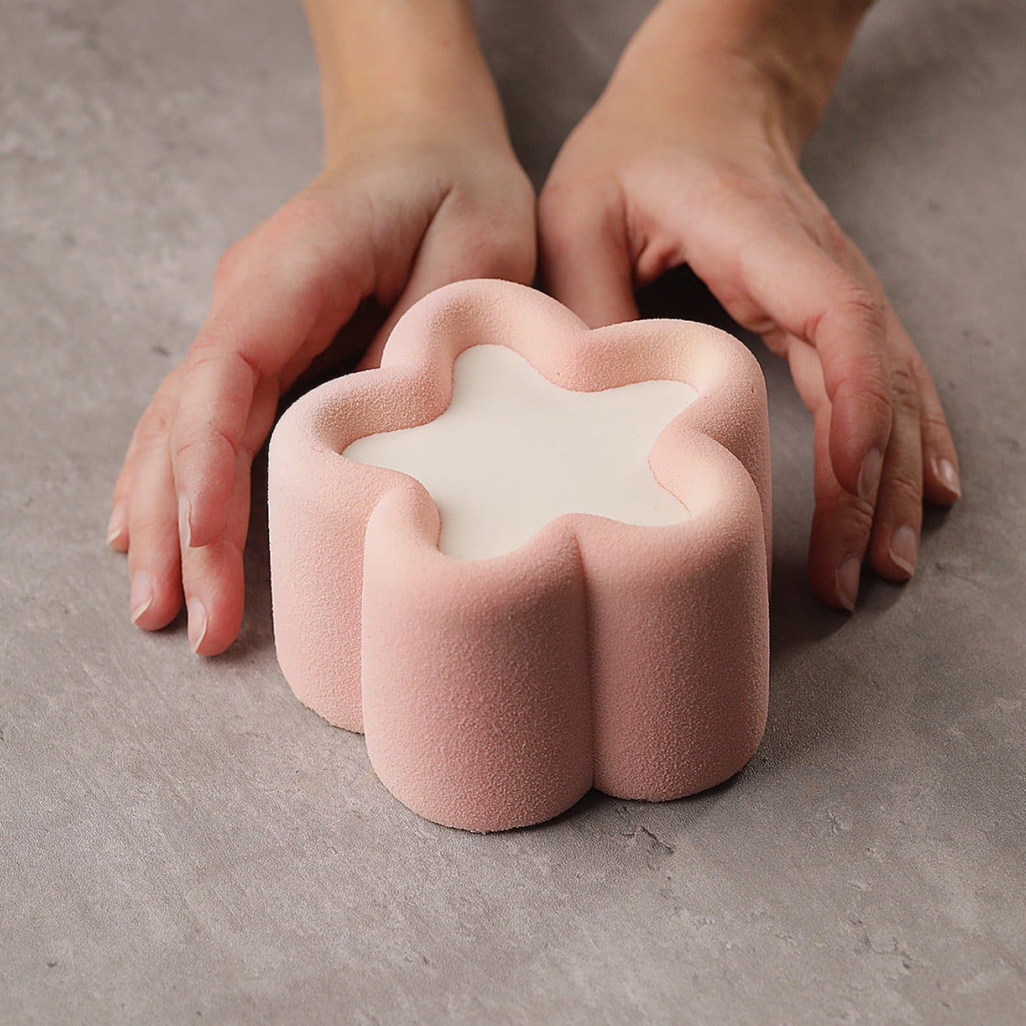 STAR BENTO CAKE, HM073 Silicone Mould