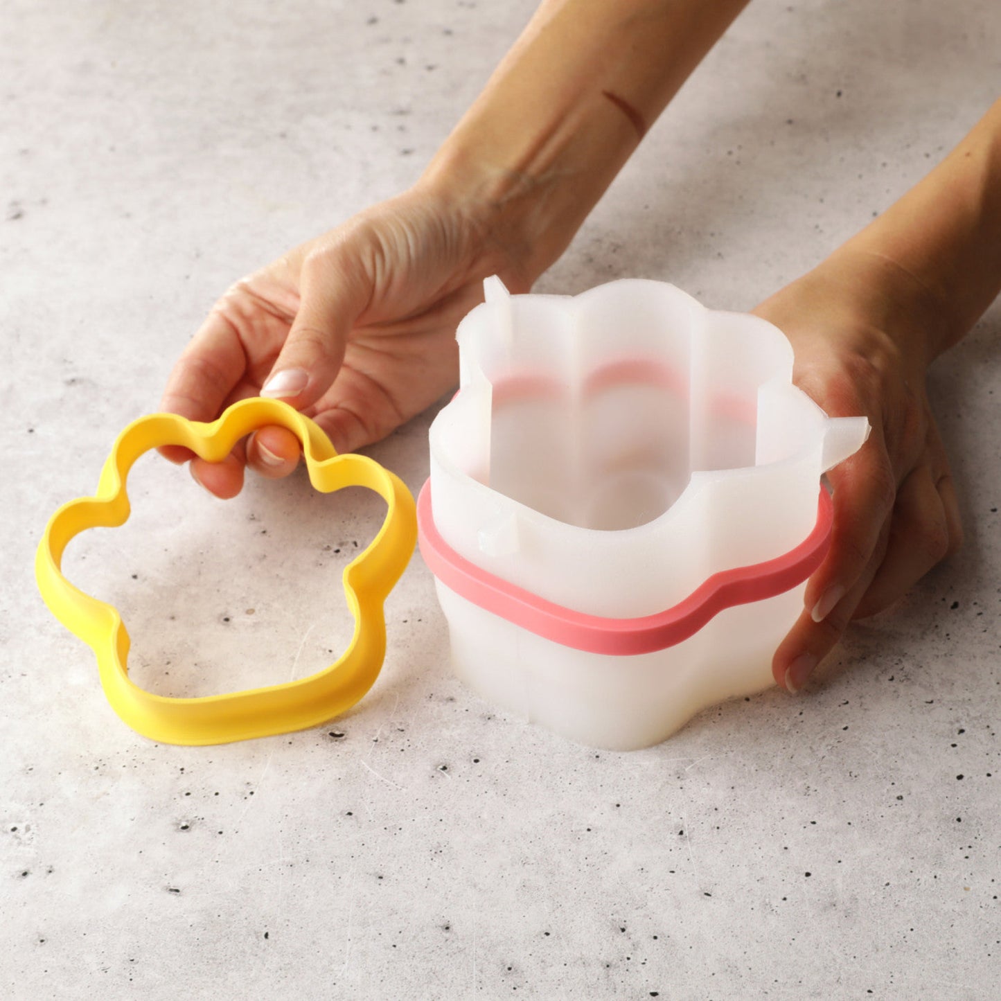 PUFFY PAWS Bento Silicone Mould, HM146