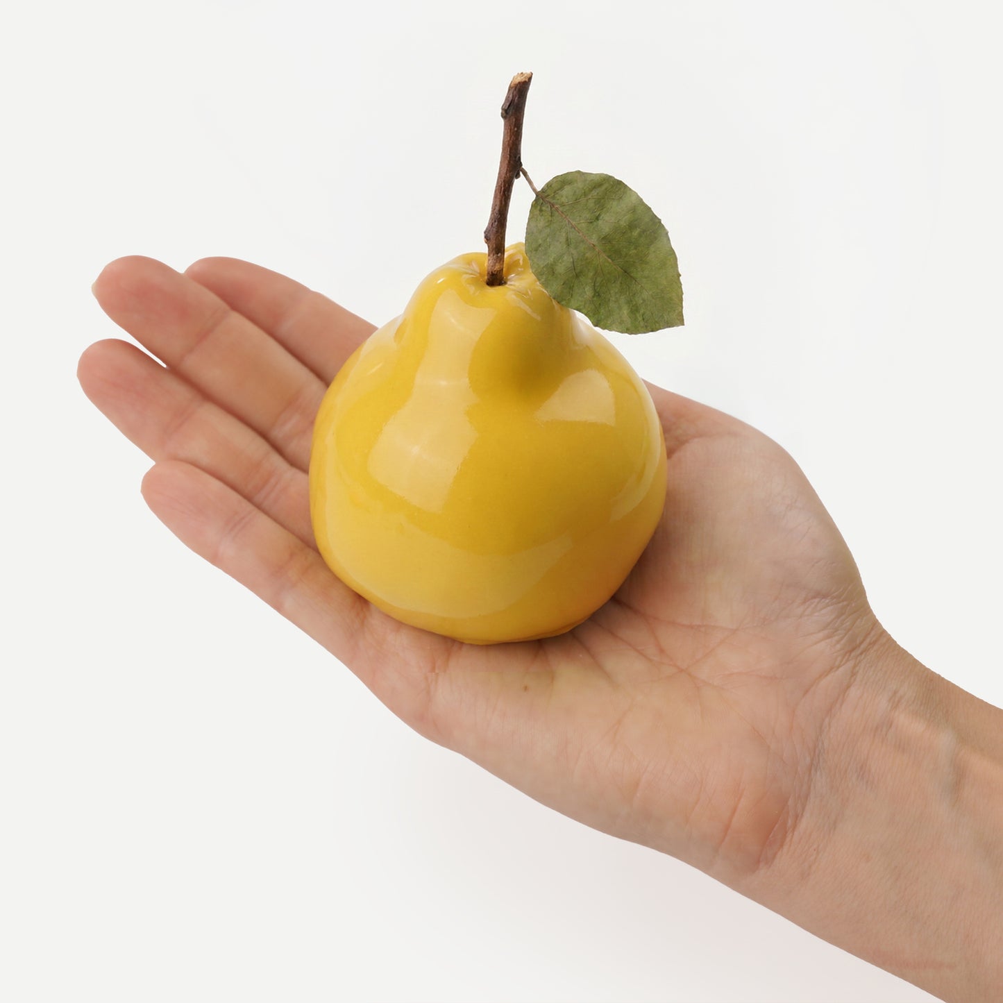 Realistic Quince Silicone mould, HM285