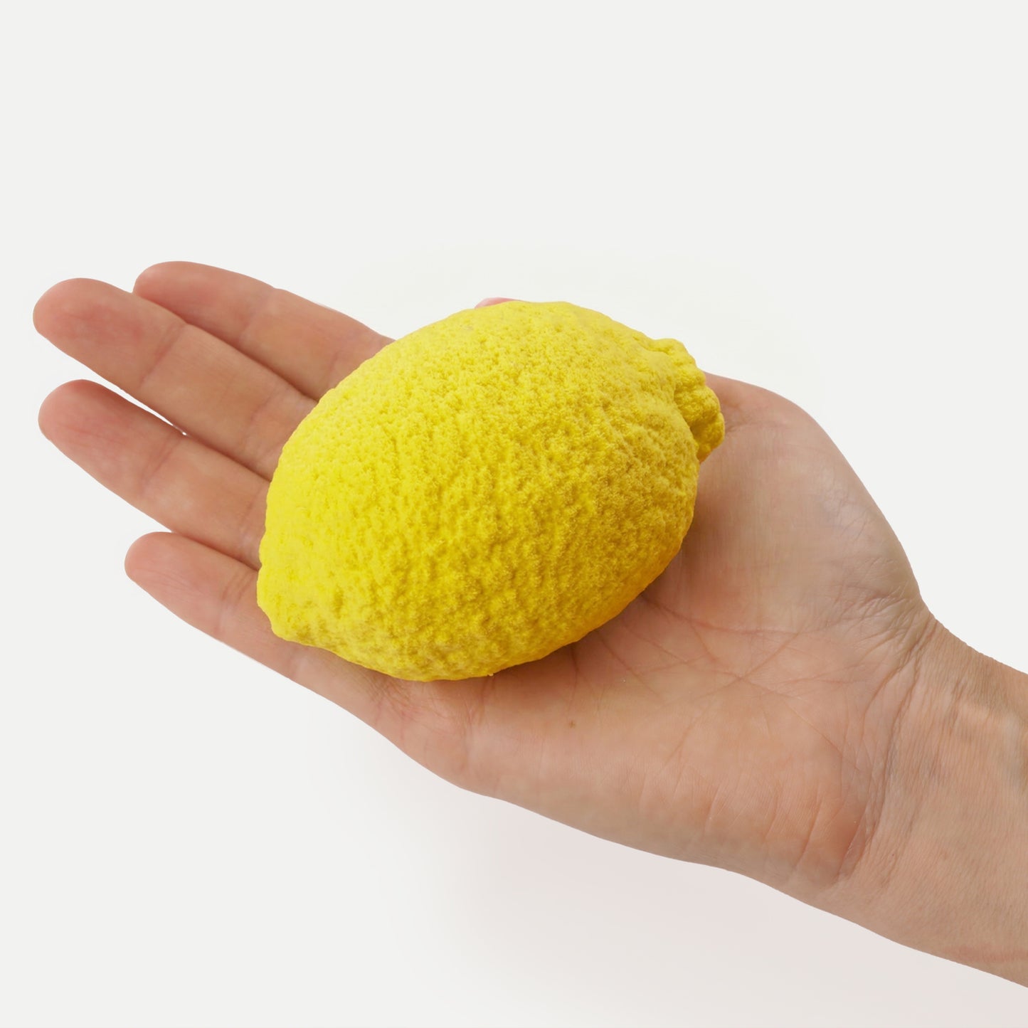 Realistic Lemon Silicone mould, HM283