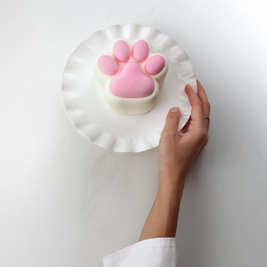 PUFFY PAWS Bento Silicone Mould, HM146