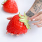 Hand Made Dinara Kasko Strawberry, HM058 Silicone Mould