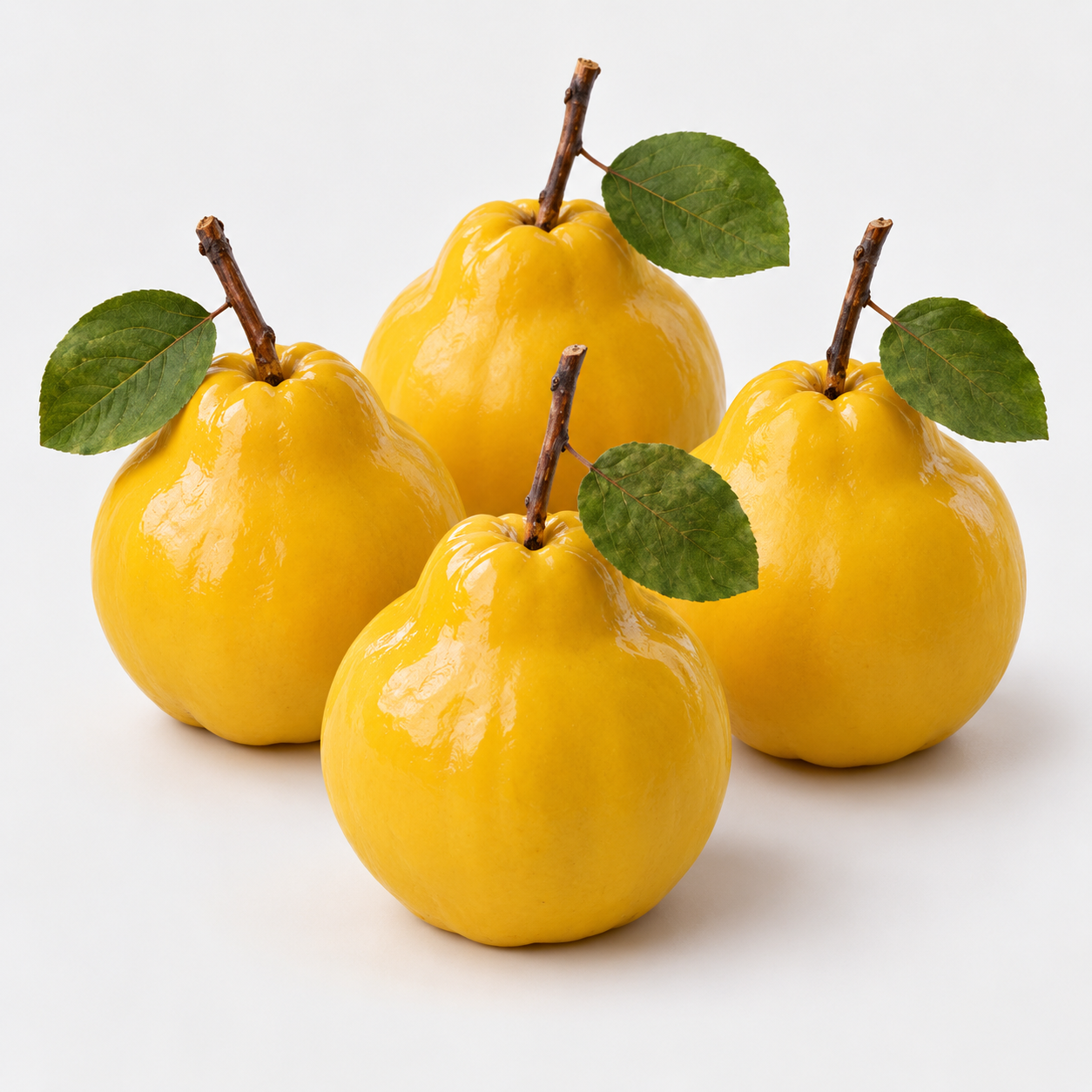 Realistic Quince Silicone mould, HM285