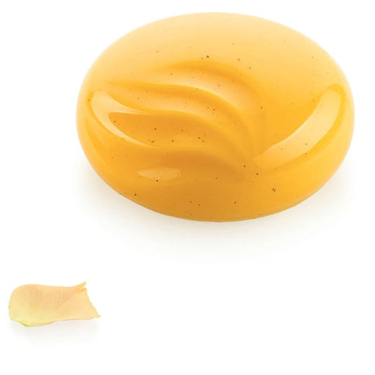 Silikomart Ocean 100 Silicone mould